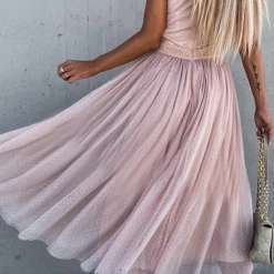 Levency High Neck Sleeveless Mesh Midi Dress New In