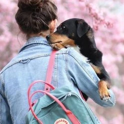 Levency Canvas School Backpack