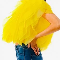 Levency New In Ruffled Feathers Sleeveless Tulle Top