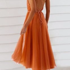 Levency Plunging Neck Backless Mesh Midi Dress New In