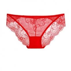 Levency Wacoal Embrace Tanga Lace Briefs New In