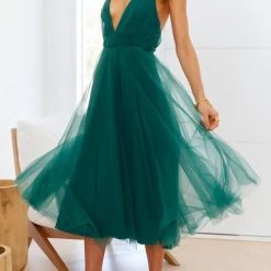 Levency Plunging Neck Backless Mesh Midi Dress New In