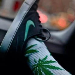 Levency Maple Leaf Couples Socks 31 Levency Maple Leaf Couples Socks