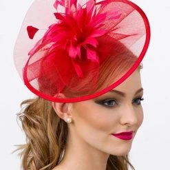 Levency Feather Mesh Fascinator New In