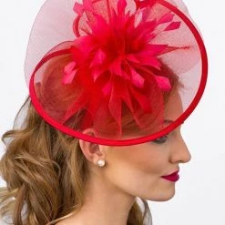 Levency Feather Mesh Fascinator New In