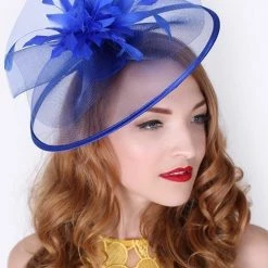 Levency Feather Mesh Fascinator New In