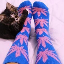 Levency Maple Leaf Couples Socks 24 Levency Maple Leaf Couples Socks