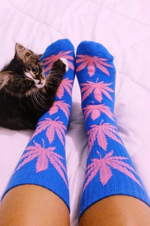 Levency Maple Leaf Couples Socks 3 Levency Maple Leaf Couples Socks